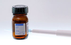 protease reagent 1