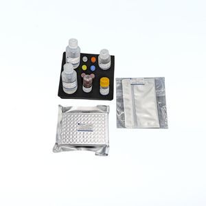 research detection kit 1