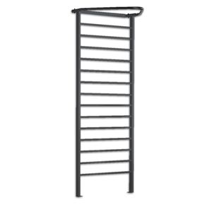 rehabilitation wall bars