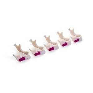 resin dental material