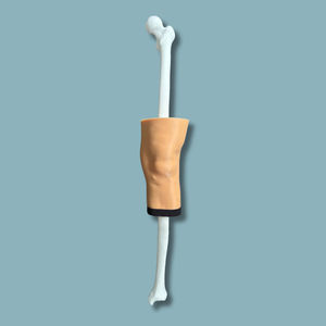 knee model