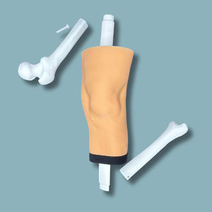 knee model