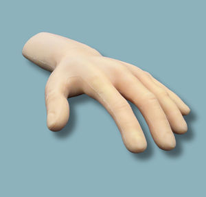 hand anatomical model