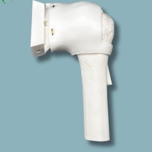 shoulder model