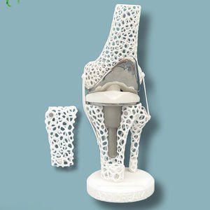 knee model