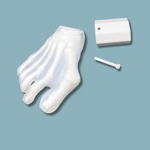 anatomical model kit