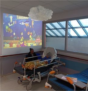 virtual rehabilitation system 1