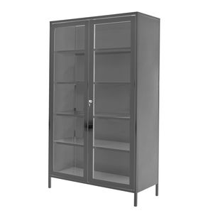 cabinet with shelf 1
