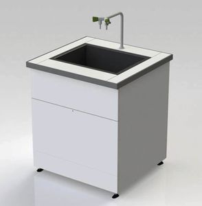 laboratory sink