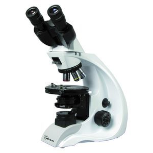 optical microscope