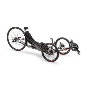 crank-propelled recumbent trike