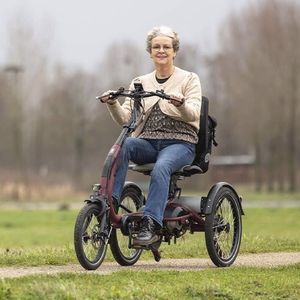 crank-propelled adaptative tricycle