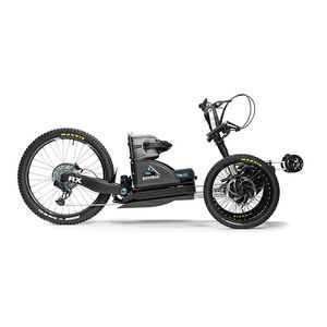 electric handbike