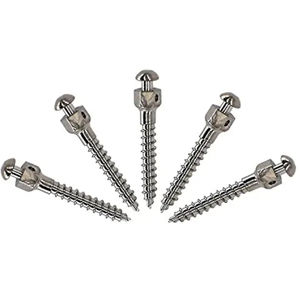 metal implant screw