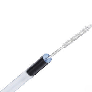 biliary cytology brush