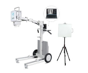 portable radiography system