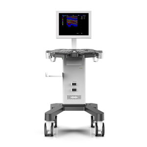 portable, with trolley ultrasound system
