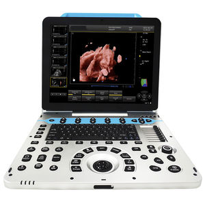 portable ultrasound system