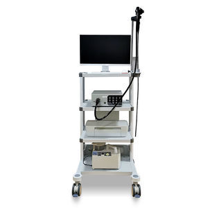 HD imaging endoscopy column 1
