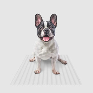 absorbent medical mat