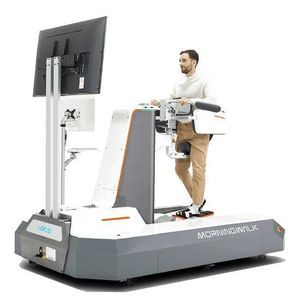 gait rehabilitation system