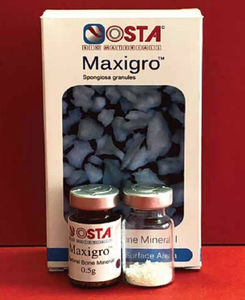xenograft bone substitute 1