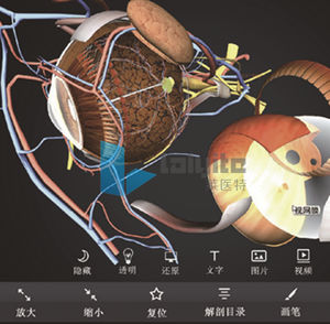 visualization software