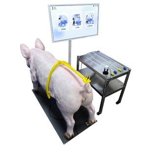veterinary simulator