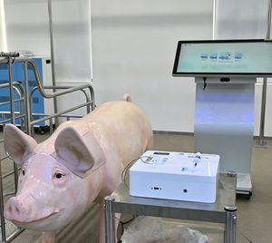 veterinary simulator