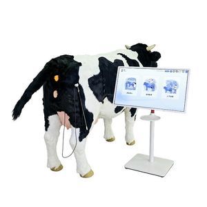 artificial insemination simulator