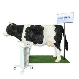 veterinary simulator