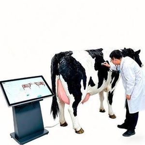 veterinary simulator