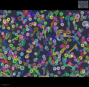 artificial intelligence software