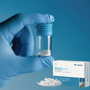 xenograft bone substitute