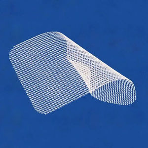 abdominal hernia prosthesis 1