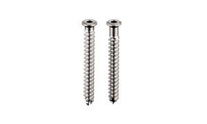 anterior cruciate ligament interference screw