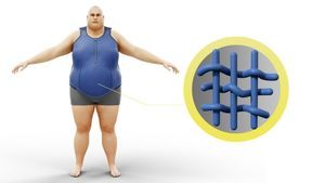 adult abdominal support