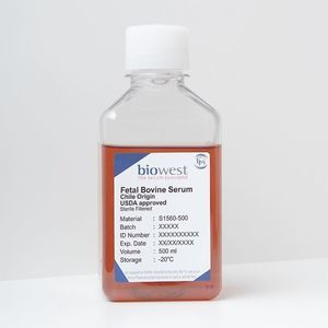 serum reagent 1