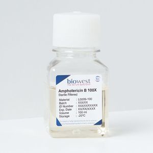 amphotericin B reagent 1