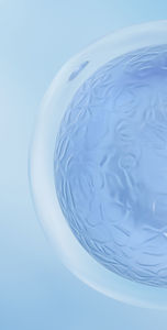myeloproliferative neoplasm test kit