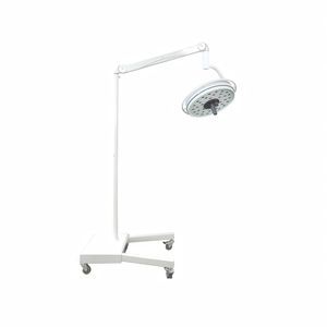 pole-mounted surgical light 1