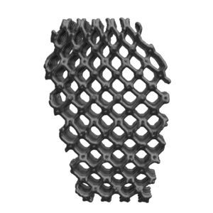 veterinary bone plate