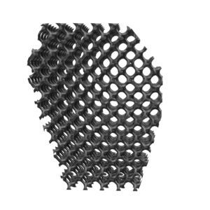 veterinary bone plate