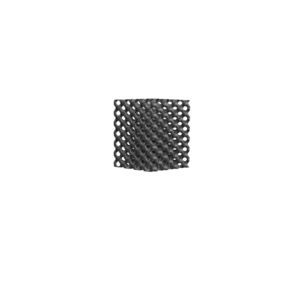 lumbar veterinary interbody fusion cage