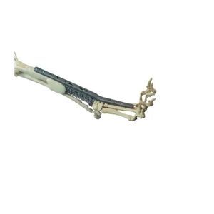 dog veterinary bone plate 1