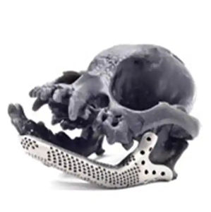 canine veterinary bone implant 1