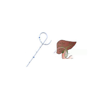biliary drainage catheter