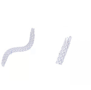 ureteral stent