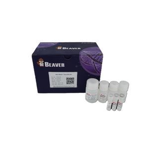 magnetic bead-based reagent 1