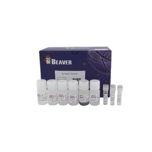 magnetic bead-based reagent 1